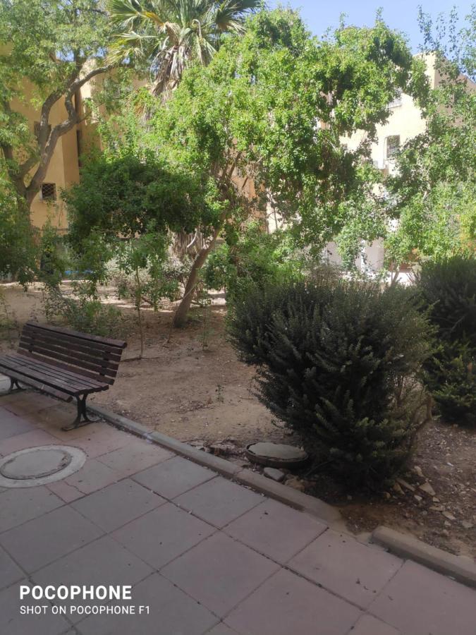 סוויטה של אלון Appartamento Arad Esterno foto